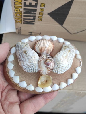Small table decorations with seashells new