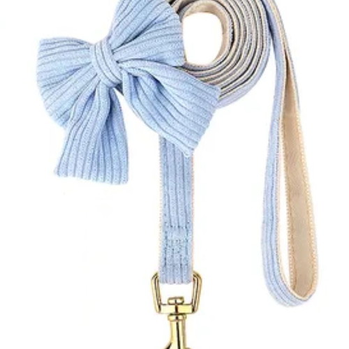 Dog leash blue with bow and gold hook new