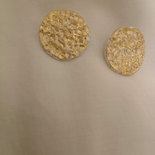 Handmade earrings new, white with gold leaf accents