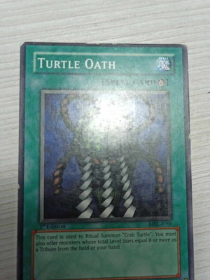 turtle oath yugioh card Yu-Gi-Oh! Spell Ruler Card type Card Artworks:Turtle Oath | Yu-Gi-Oh!