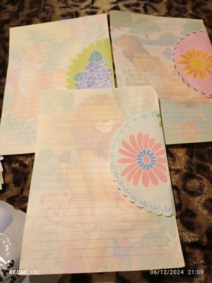 Correspondence used, 1 folder with set sheets
