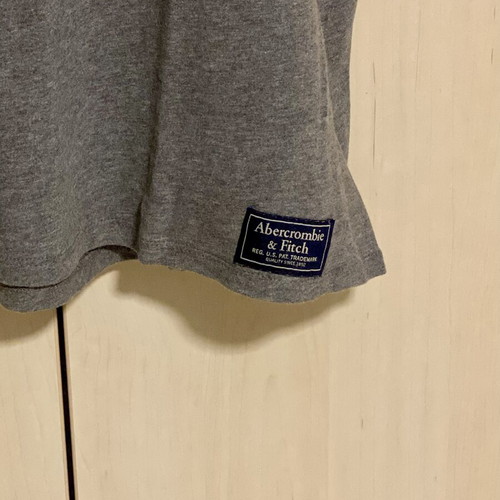 Abercrombie & Fitch T shirt new, cotton, gray, size M