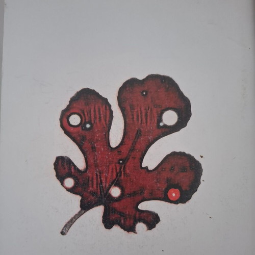Fantaxtera Skotadia like new, poetry collection by Makis Giourtzoglou