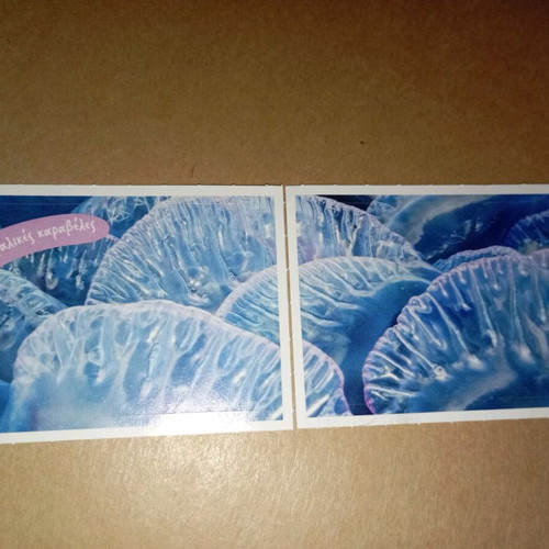 Stickers Explore the Ocean 2 new, No 58 and 59