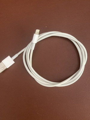 iPhone cable used
