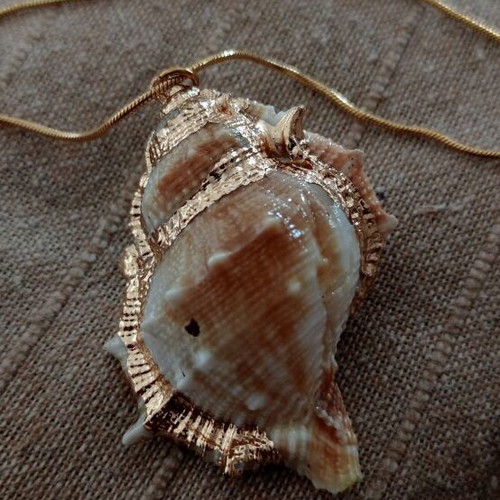 Necklace with shell*Final price