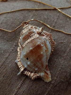 Necklace with shell*Final price