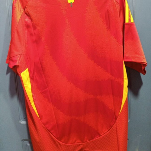 Adidas Spain football jersey, authentic
