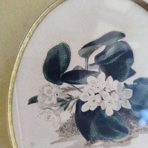 Antique original steel engraving art print mid-19th century like new