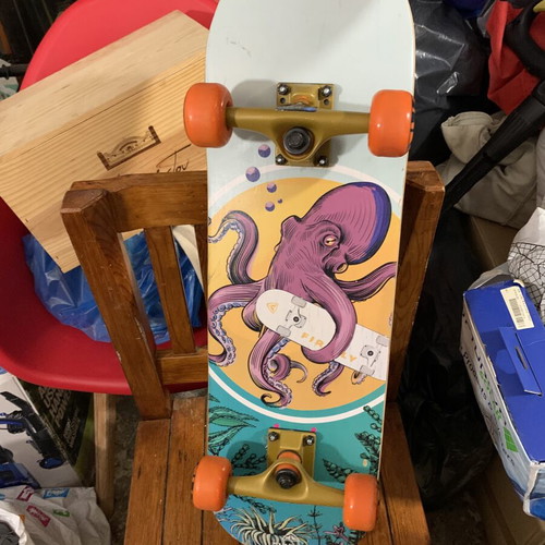 Skateboard new