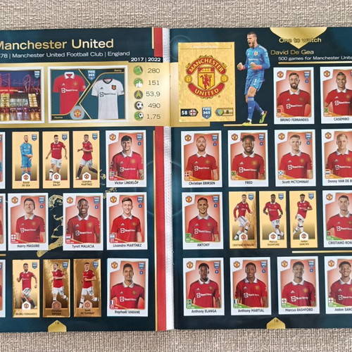 Panini FIFA 365 2023 album like new, completed