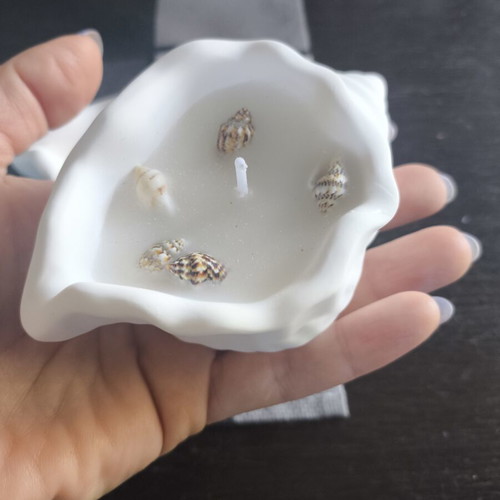 Decorative Plaster Seashells Set of 3 New