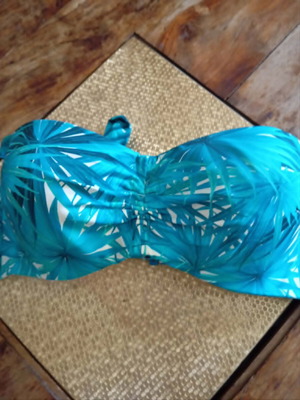 Gisela bra size 75C like new, turquoise and green