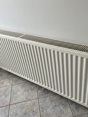 DeLonghi Panel Radiator Type 22 600x1400 used, cleaned with Fernox