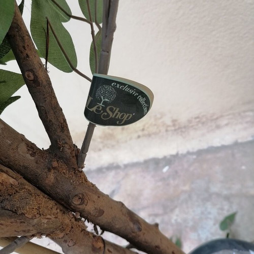 Artificial ficus plant new, 2 meters tall