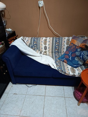 Two-seater sofa bed and single sofa