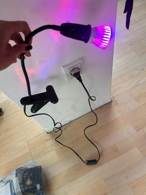 Φωτιστικά LED Grow Clip-On μεταχειρισμένα, σετ 2, ευέλικτα για εσωτερικά φυτά