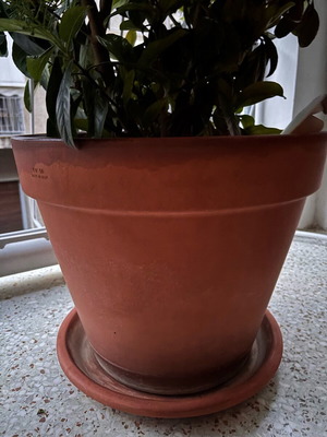 Σετ 27 γλάστρες μεταχειρισμένες, πήλινες και μεταλλικές