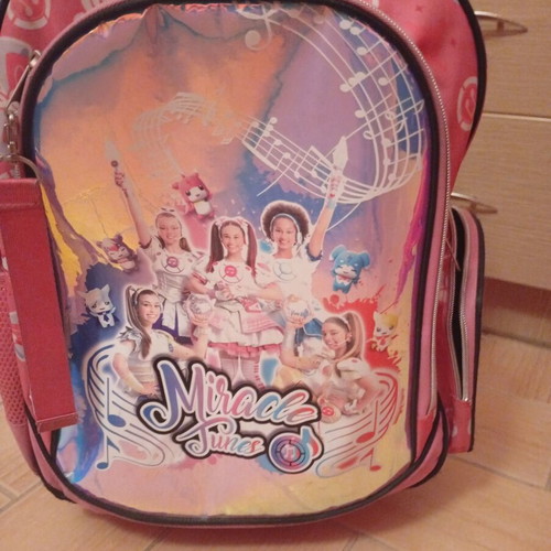 Wheeled bag like new