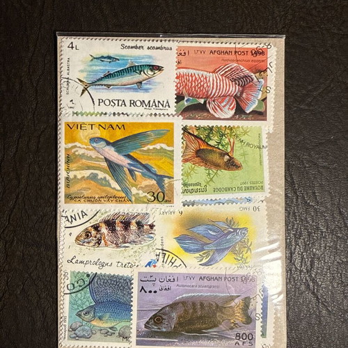 Fish-themed stamp collection, new