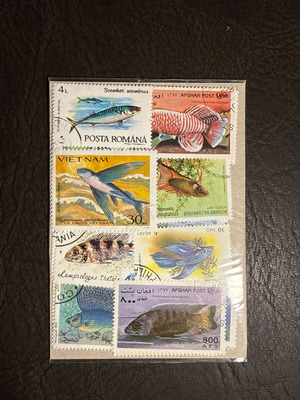 Fish-themed stamp collection, new