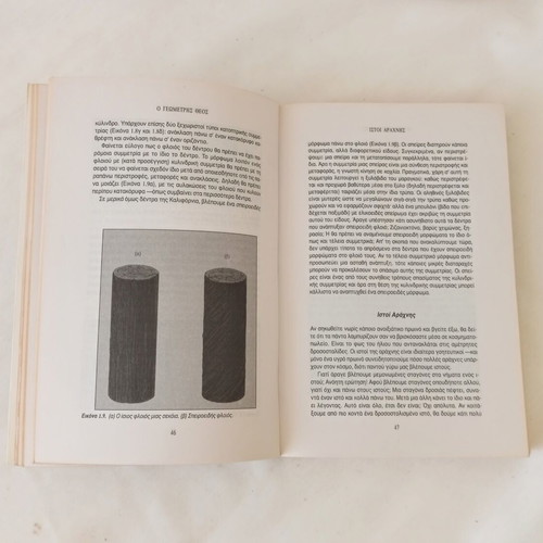 Book Είναι ο Θεός γεωμέτρης; by Ian Stewart and Martin Golubitsky like new
