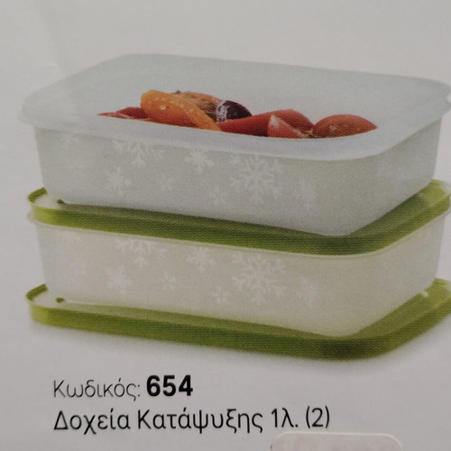 Freezer containers set of 2, 1 liter each, new