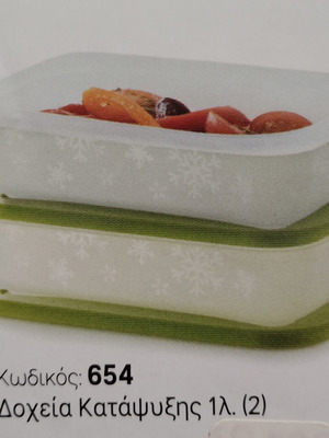 Freezer containers set of 2, 1 liter each, new