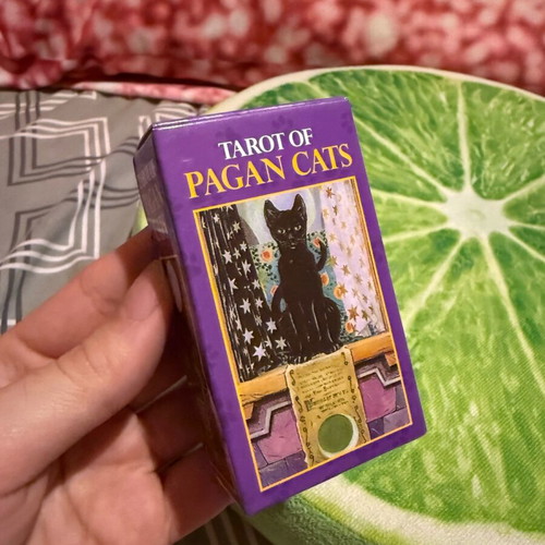 Tarot of Pagan Cats deck like new