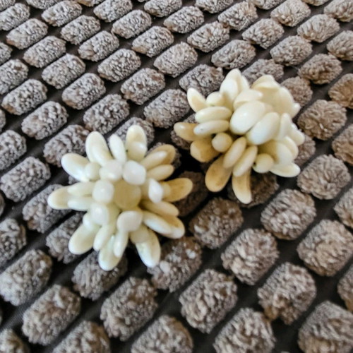 Vintage white clip-on earrings used, old style