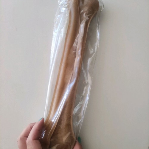 Large chew bone like new 31cm