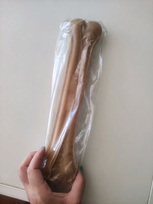 Large chew bone like new 31cm