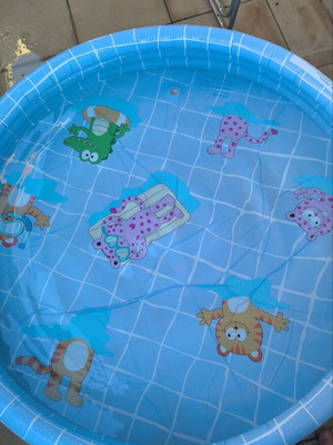 Children's Pool new