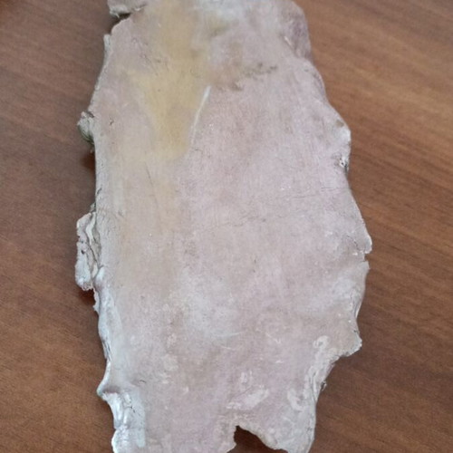 Handmade plaster frame parrot like new