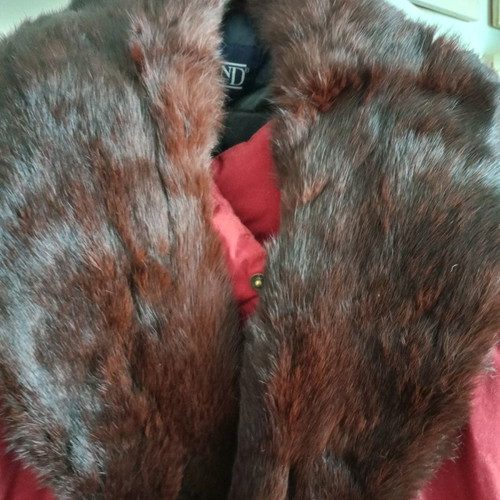 Fur collar for coat jacket used, brown honey color