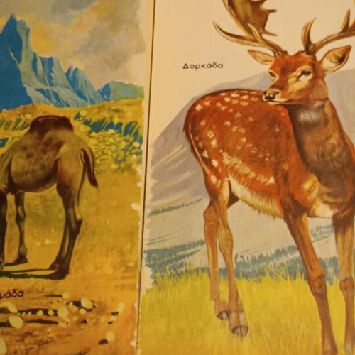 Encyclopedia of Animals used, Ankyras 1966 edition