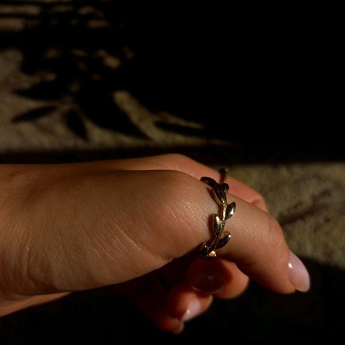Rings like new with elegance and dark vibes
