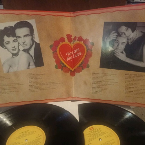 You Are My Love vinyl used, 2 LP, rock, pop, ballad