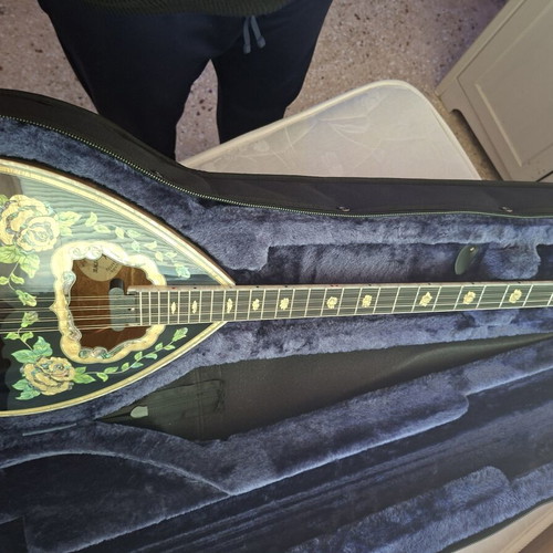 Bouzouki 8-string new with pickup and case by Stamkos