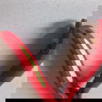 Λαβίδα για κάστανα snips