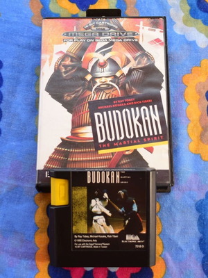 Budokan: The Martial Spirit Sega Mega Drive game used