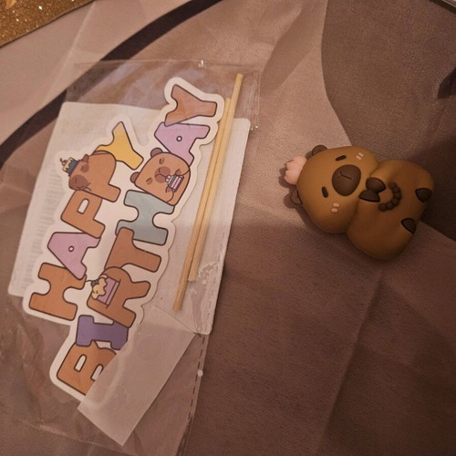 Capybara birthday set like new, 5 pieces for 7 years old