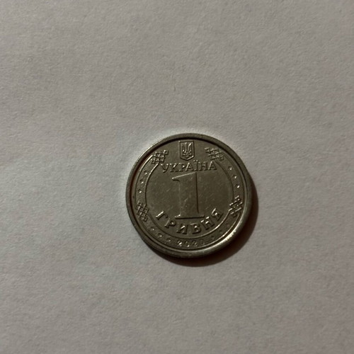Ukrainian money used