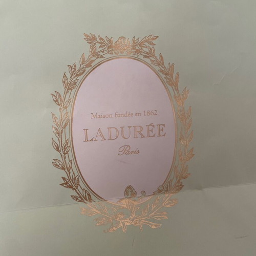 Laduree bag used pistachio color