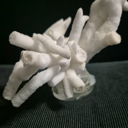 Aragonite like new on base