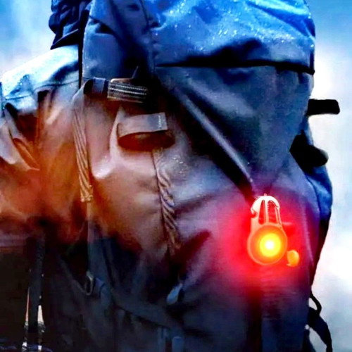 Survival carabiner new with LED light and multitool