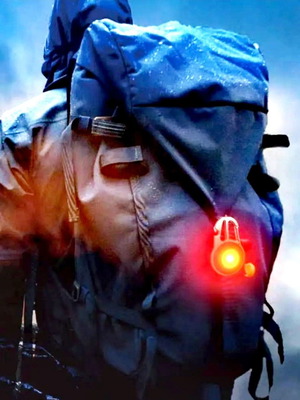 Survival carabiner new with LED light and multitool