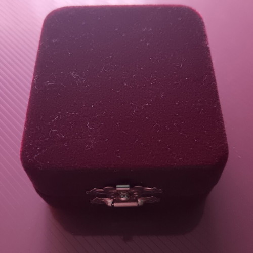 Collectible enamel pin in velvet case like new