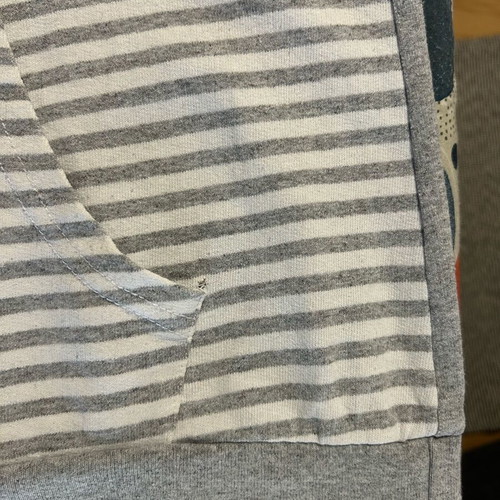 Harley-Davidson gray striped raglan sweatshirt used, size S