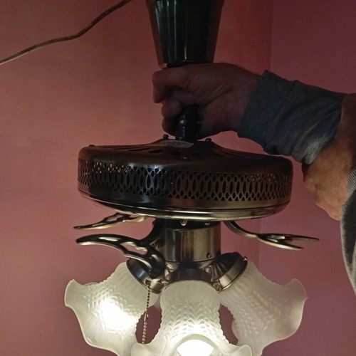 Ceiling fan used with 3 speeds and separate light switch